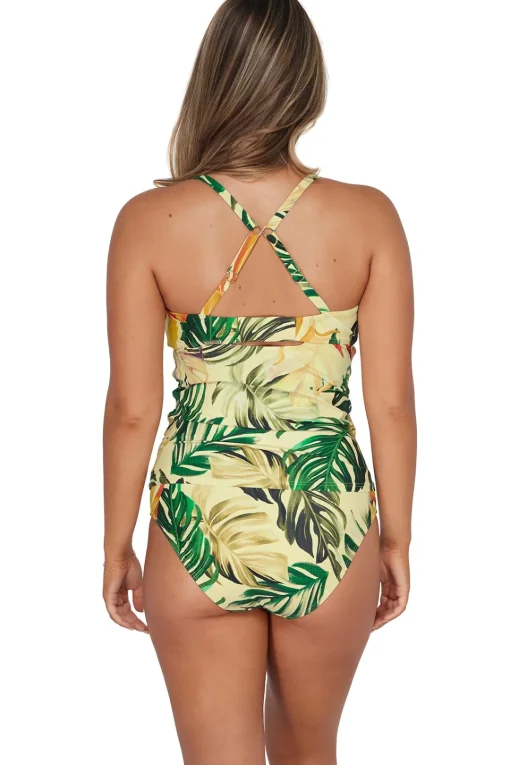 Sunsets Amber Oasis Zuri V-Wire Tankini Top< Plus Size | Underwire