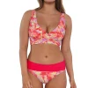 Sunsets Butterfly Beach Elsie Top< Plus Size | Underwire