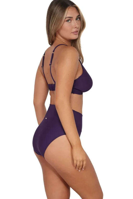 Sunsets Paradise Plum Hannah High Waist Bottom< High-Waist | Bikini Bottoms